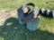 Horse Collar, Buckets