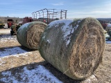 Hay