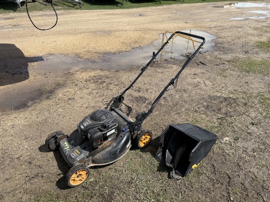 Poulan Pro Push Mower