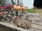 Welding Carts and AgriFab Sprayer