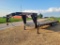 2012 TrailerMan Gooseneck