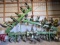 John Deere 856 High Clearance 16-Row Cultivator