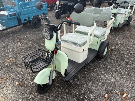 SDLanch Mini Golf Cart Green