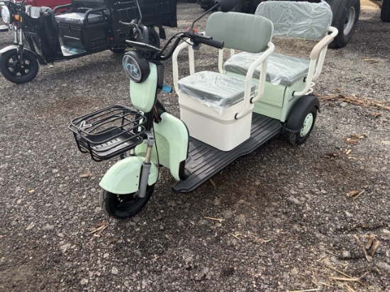 SDLanch Mini Golf Cart Green