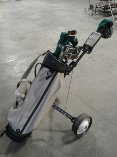 Golf clubs wilson 4300, cart, golf balls