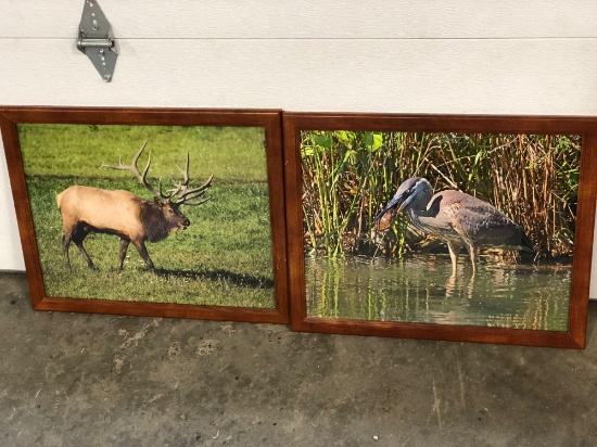 2 framed outdoor pictures