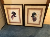 2- framed/matted duck pictures by Tom Wood