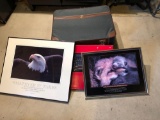 2- framed pictures,rope light flag,suitcase