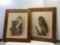 2- owl paintings by E.RAMBOW
