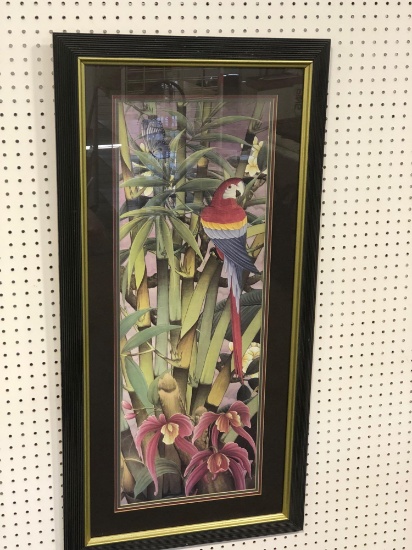 Framed parakeet picture