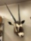 GEMSBUCK shoulder mount