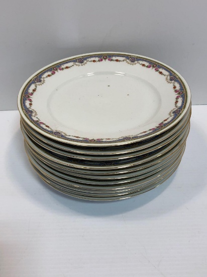 CZECHOSLOVAKIA China dishes Flower pattern(11- dinner plates )(matches lots 67,68,70,71,72)