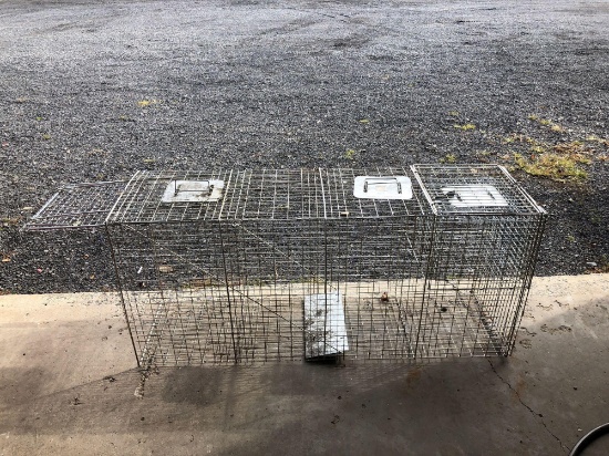 Very large wire HAVAHART wire live trap