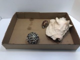 Seashells, J.O.U.A.M. glass rock