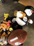 Steelers NFL Winter Keep you Warm Lot
