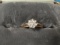 14 KT GOLD RING WITH 8 DIAMONDS ALL TESTED TOTAL WEIGHT 1.5 DWT