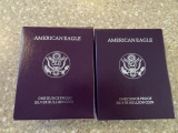 2 SILVER AMERICAN EAGLE 1991 AND 1993 PROOF 1 OZ PROOF SILVER BULLION COIN