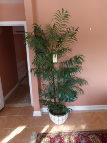 ARTIFICIAL PALM TREE IN POT APPROX 6 FEET TALL