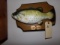 BIG MOUTH BILLY BASS AND WALL SHELF AND PINK FLAMINGO