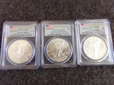 (3) 2013 SILVER EAGLE $1 1O435 SILVER PCGS MS69