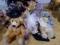 COLLECTION TEDDY BEARS INCLUDING FUNICELLO COTTAGE COLLECTIBLES KNICKERBOCK