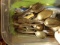 PLASTIC TOTE FULL OF MISC SILVERPLATE FLATWARE