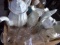 IRONSTONE COFFEE POT PITCHERS GLASSES AND MORE