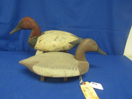PAIR CANVASBACKS FROM DECOYS UNLIMITED FROM GREEN RUN GUNNING CLUB