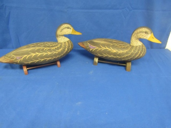 PAIR OF BLACK DUCK DECOYS REPAINTED BY MARSHALL DECOYS PUPPY TEETH MARKS ON