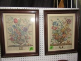 PAIR OF BOTANICAL PRINTS FEB AND APRIL 21 X 17