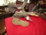 FLYING BLACK DUCK MOUNTED ON SAND VERY DETAILED SOME PAINT CRACKING BY BILL
