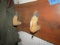 PRIMITIVE GUN RACK SLAB WOOD WITH DEER HOOFS 52 X 14 INCH