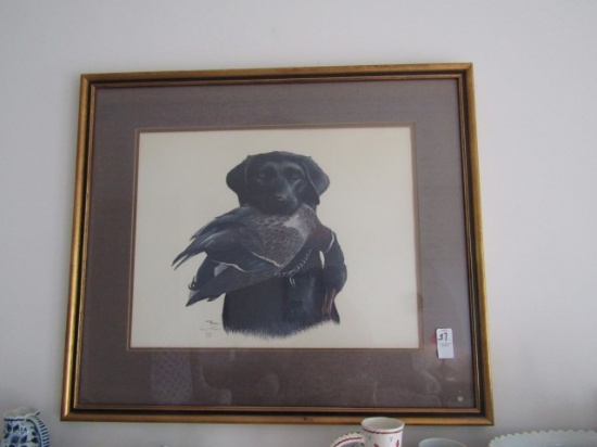 LARGE PRINT BY LOUIS FRISINO 443/500 BLACK LAB WITH DRAKE MALLARD APPROX 30