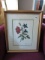 4 BOTANICAL PRINTS FRAMED UNDER GLASS 18 X 15