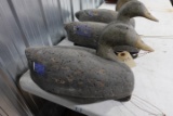 3 OVER SIZE CORK BLACK DUCK DECOYS WITH CARVED WOODEN HEADS PLYWOOD BOTTOMS