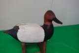 DRAKE CANVASBACK BY HERB DAISEY JR CHINCOTEAGUE VA 08