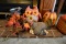 FALL DECORATIVES INCLUDING LONGABERGER BASKETS PUMPKINS HEN AND MORE