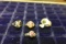 4 STERLING RINGS SIZE 10 WITH MISC STONES