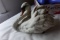 ITALIAN LIMITED EDITION PORCELAIN SWAN 64