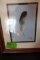 FRAMED UNDER GLASS FEATHER ART BY DONNIE THORNTON 1997 9 INCH X 11 INCH