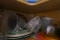 CONTENTS OF TWO KITCHEN CABINETS INCLUDING SOUP BOWLS COFFEE CUPS STORAGE C