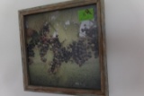 SMALL PRINT GRAPES ON VINE 13  X 13