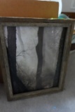 FRAMED NATURES GIFT PICTURE LIGHTED PRINCESS ANNE MD