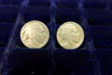 2 BUFFALO NICKELS DATES UNKNOWN