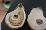 PAIR OF CARVED OYSTERS BY G MARSHALL APPROX 3 INCH LONG EACH