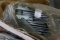 BOX WITH 12 INCH EXTERIOR GALVINIZED SPIKES