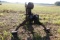 HOWARD POWER ARM APPROXIMATELY 12' BOOM 18