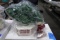 DANBERRY MINT MINIATURE MUSICAL ADVENT TREE