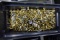 PLASTIC AMMO BOX WITH APPROX 2000 ROUNDS 22 LR