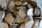 550 WHEAT PENNY